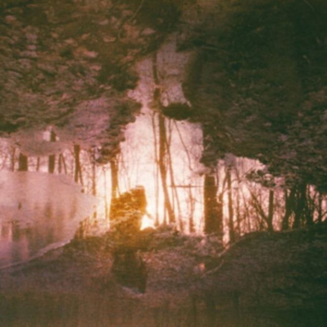 Wren LP - Auburn-Regel