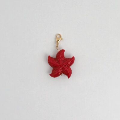 Fascino della stella marina rossa