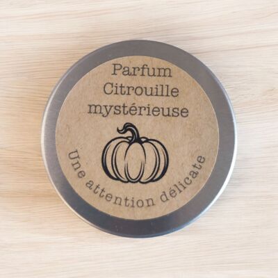 Mini candela zucca 20g