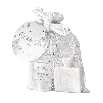Mini set de regalo en organza plateada