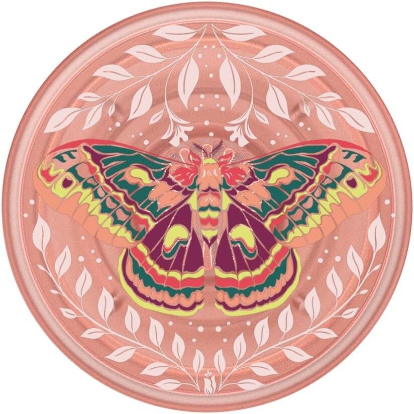 🦋Metamorphose-Pflanzen🦋