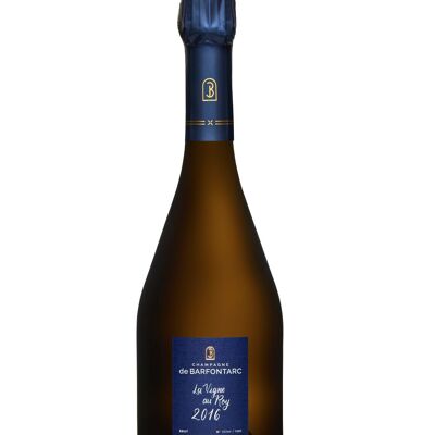 Champán - LA VIGNE AU ROY - Añada 2016 - Botella 75 CL