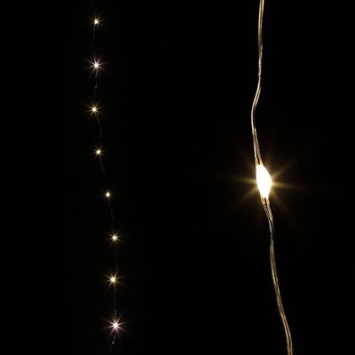 LED Girl Mini, 20 LED, L200cm, sono necessarie 2x AA, timer, cavo, argento, interno