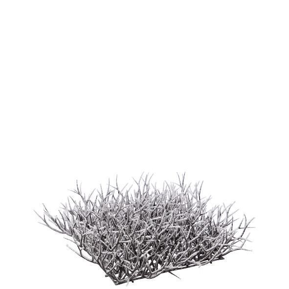 TeaTree Matte Throns L25cm, W25cm, natural snow-covered