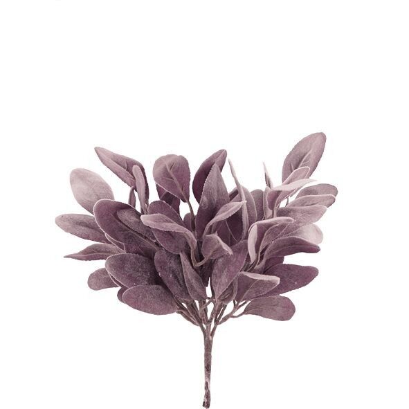 Salbeibusch Salvia, 27cm, lila