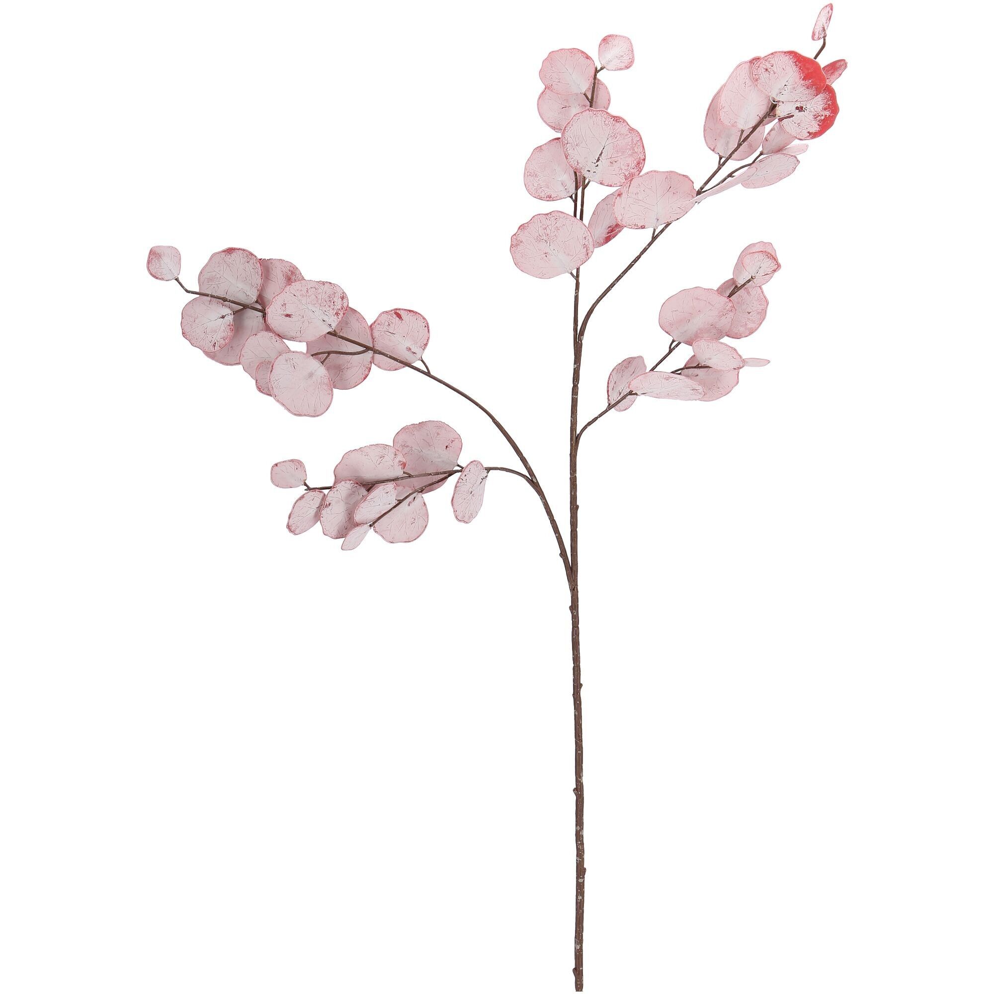 Ramo di eucalipto Populus, L85cm, rosa infarinato