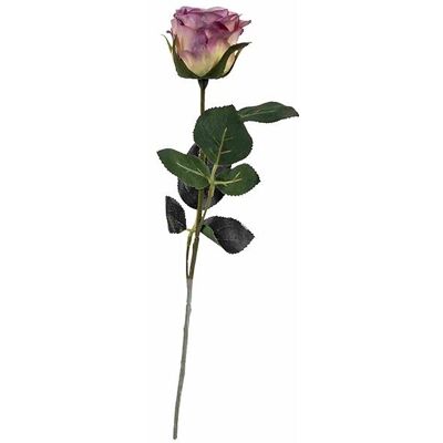 Rosa Madame doble, 9 hojas, L37cm, flor D6cm, lila