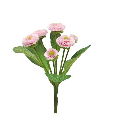 Bellis Pick Tablo, 6 fleurs, L20cm, rose