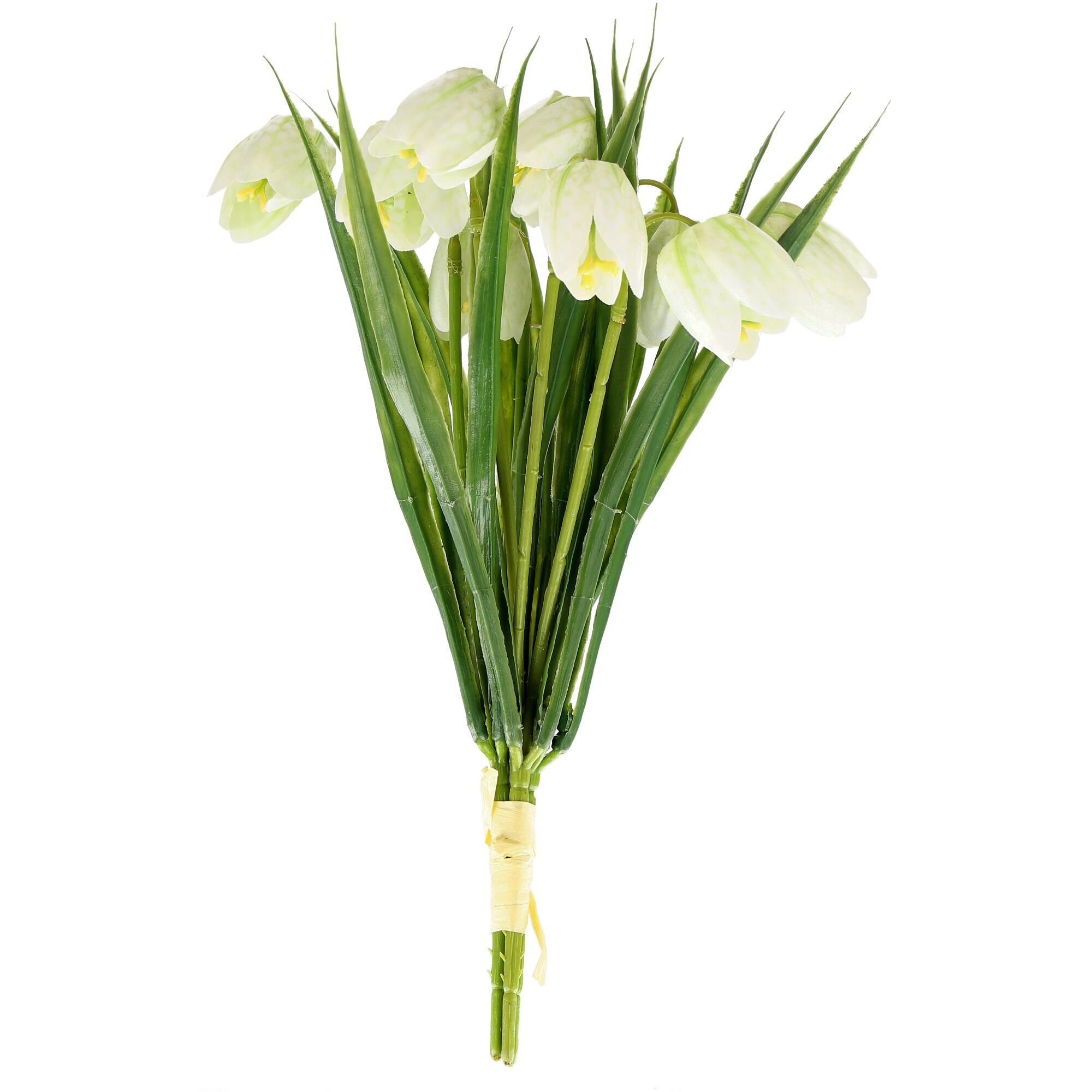 Fritilaria Bund Cami 3 stili, 6 fiori, L29cm, crema