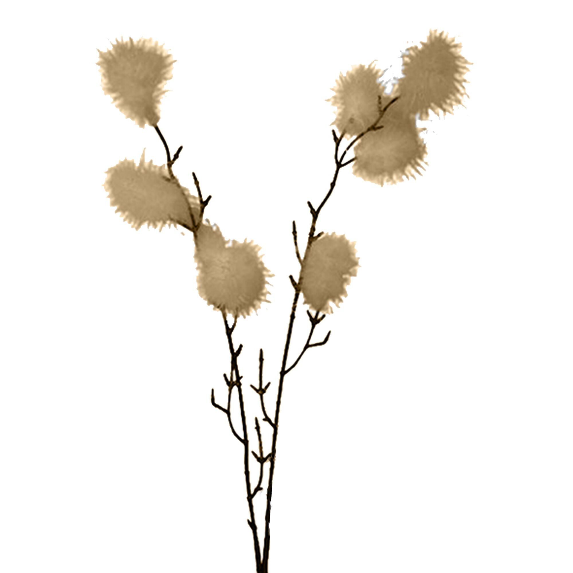 Ramo di piume Malia, L84cm, aspetto secco