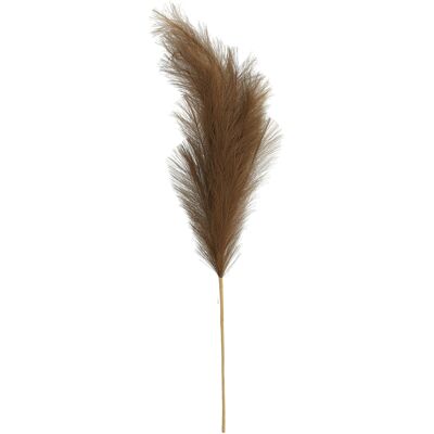Pelusa de rama de pampa, L110cm, marrón