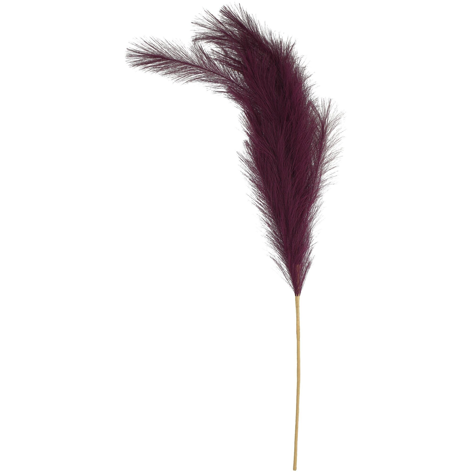 Lanugine di ramo di Pampa, L110 cm, bacca