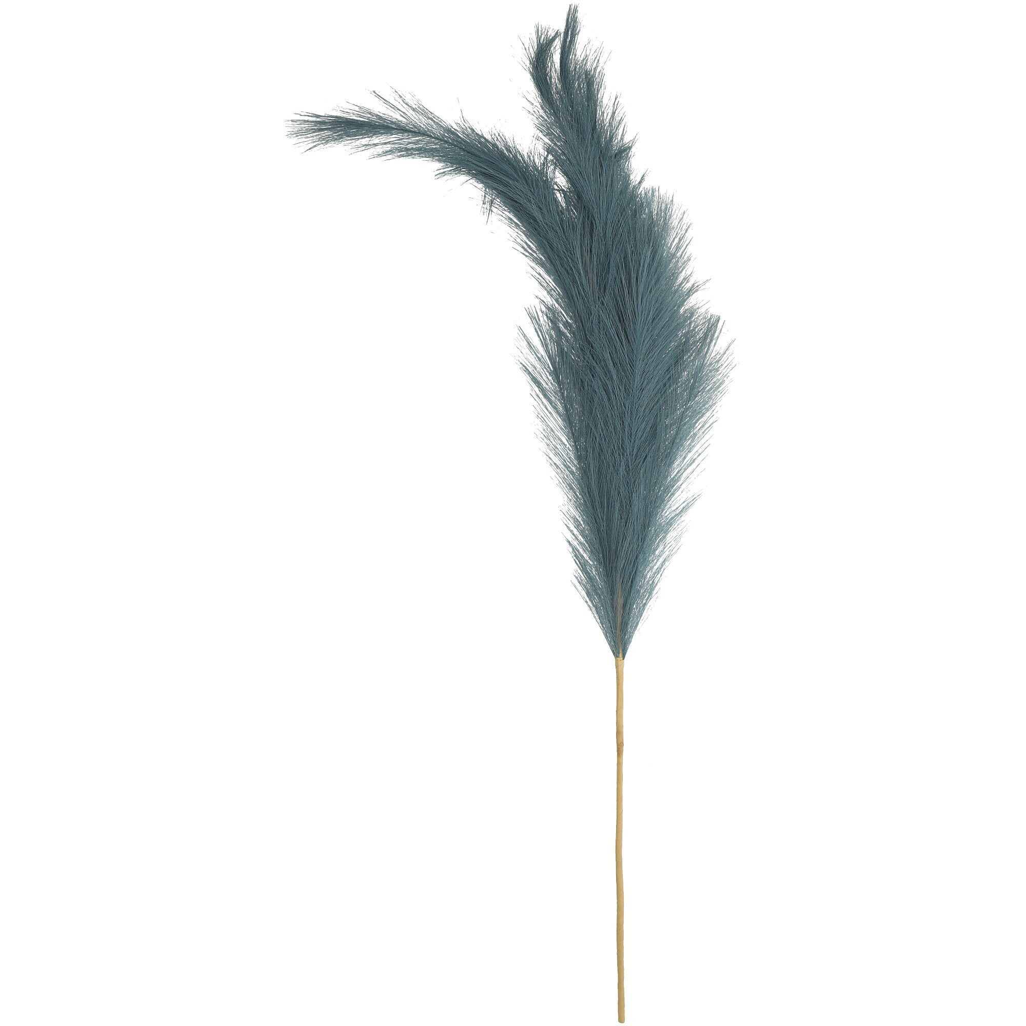 Lanugine di rami di pampa, L110 cm, blu fumo