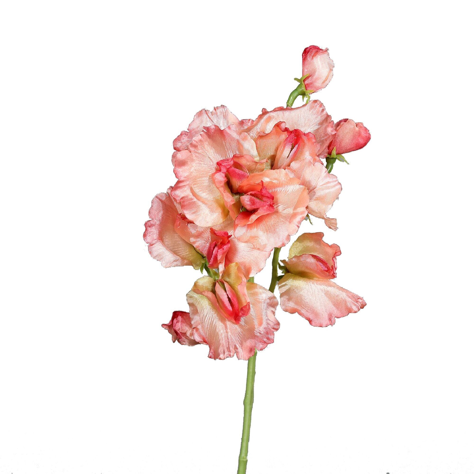 Veccia Esra, L46cm, rosa salmone