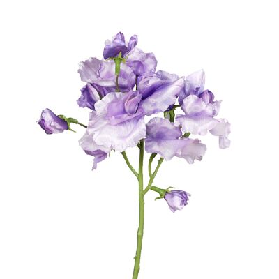 Veccia Esra, L46cm, lavanda