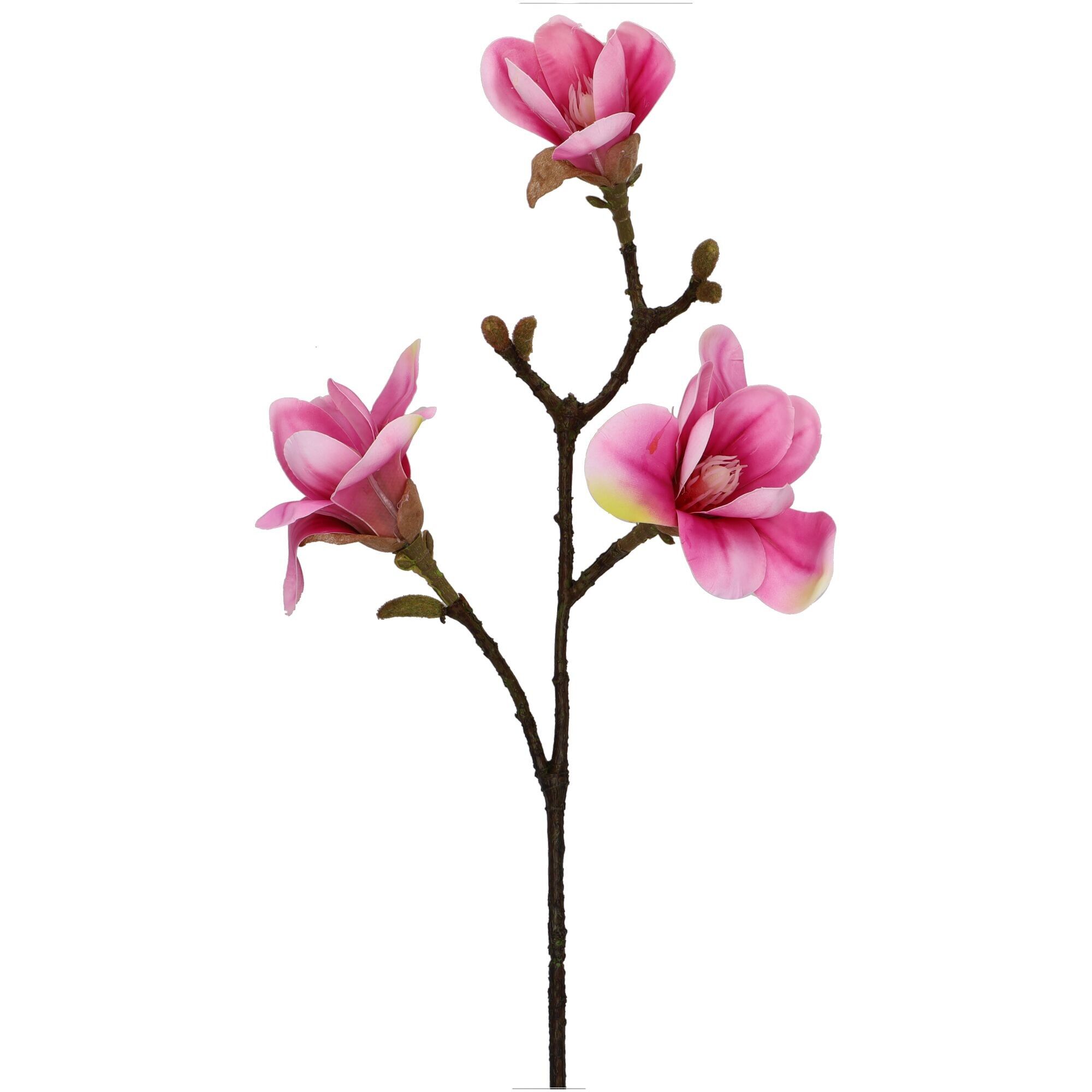 Ramo di magnolia Vanda, 3 fiori, L40cm, rosa