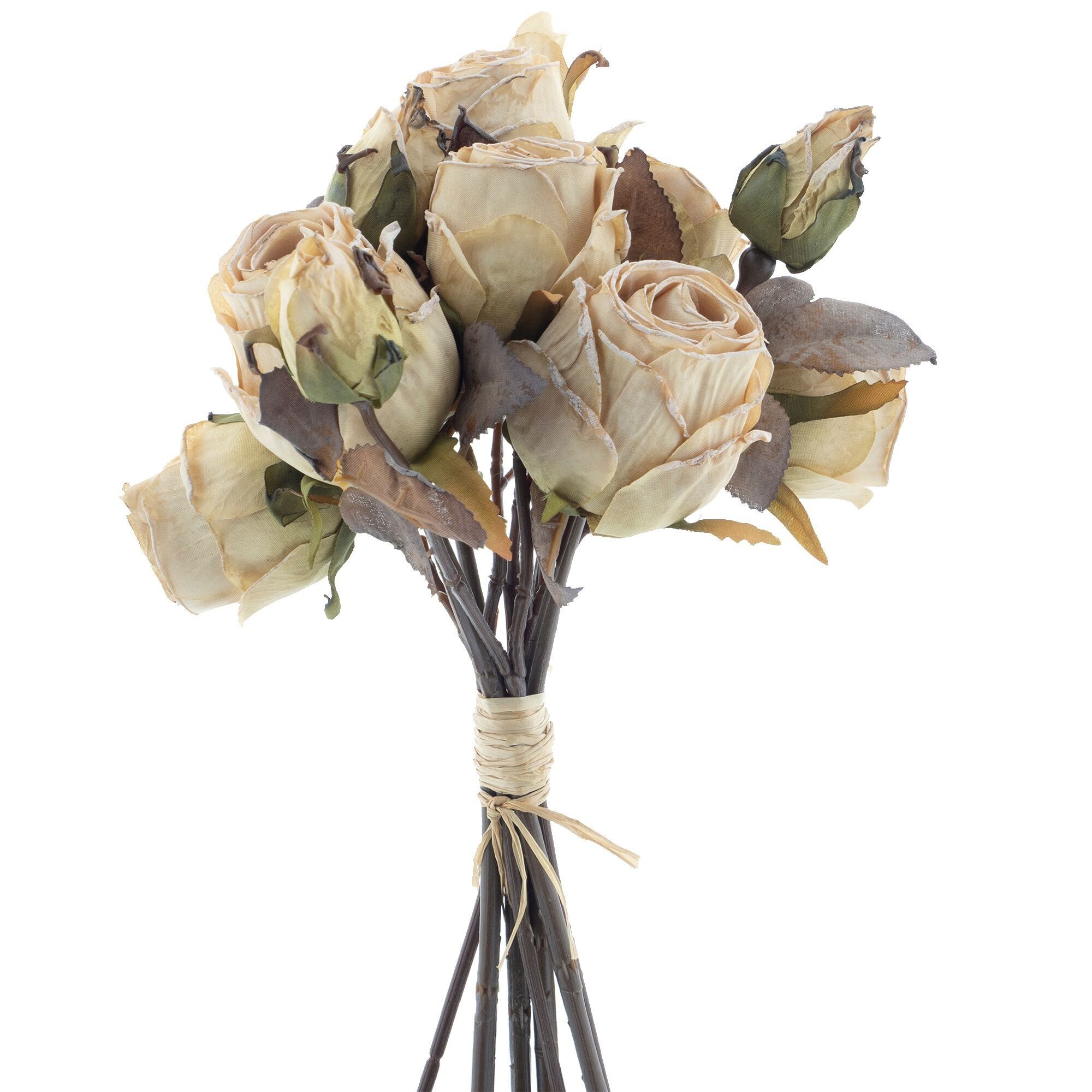 Mazzo di rose Mery, 12 steli/mazzo, L28 cm, crema