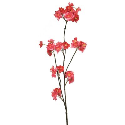 Ramo di fiori di ciliegio Vergine, L84 cm, rosso