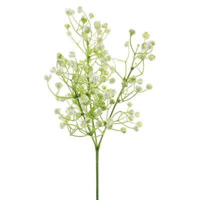 Gypsophile Alan, L43cm, blanc