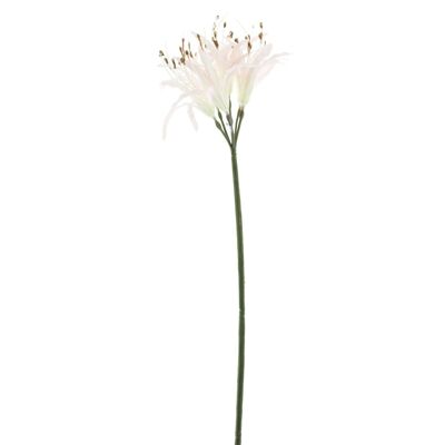 Ramo di nerina Arnes, L91cm, rosa