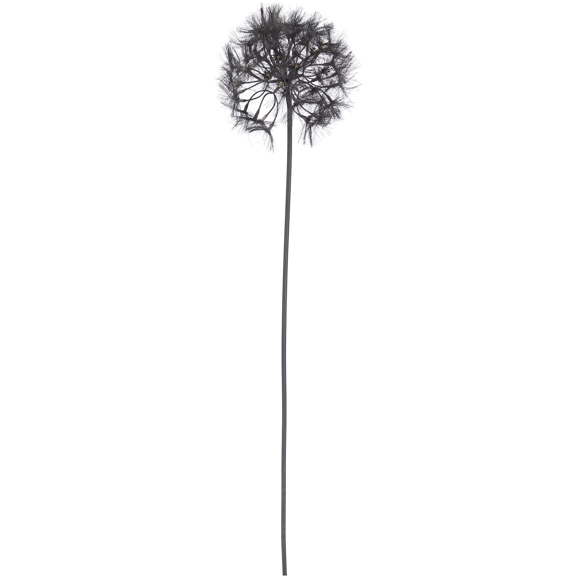 Dandelion Luke, L70cm, D15cm, black