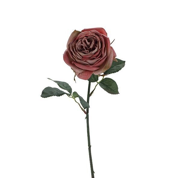 Rose Velvet, 1 fiore, L38cm, rosa antico