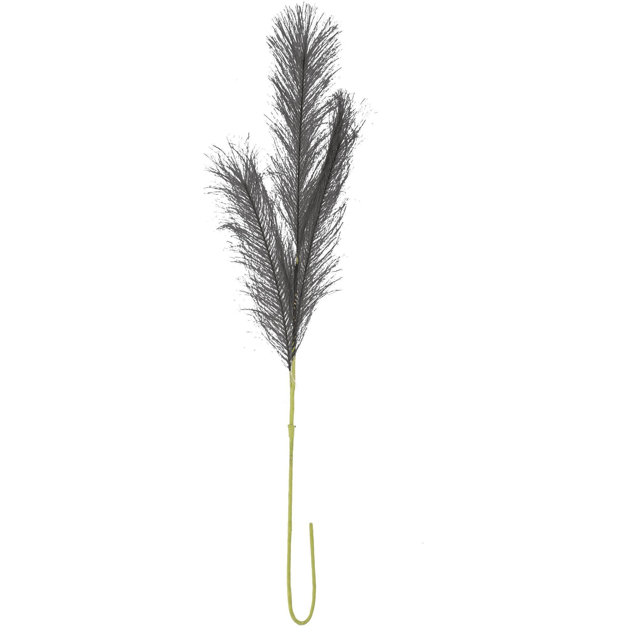 Pampas fronds, 3 heads, L90cm, black