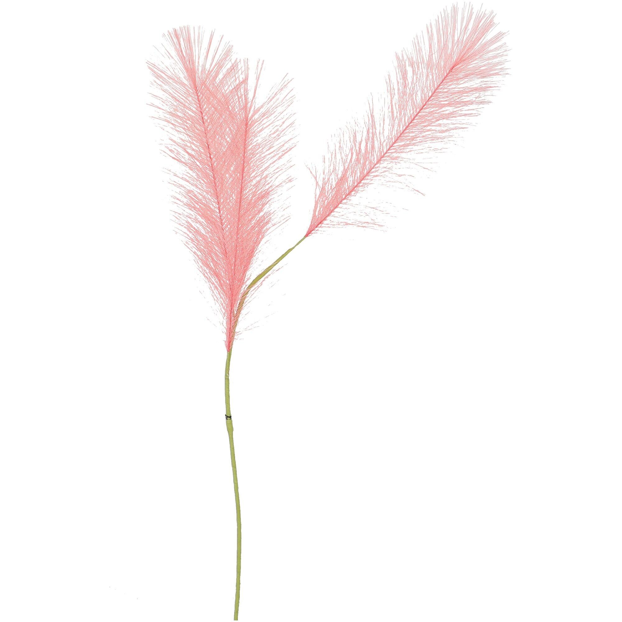 Fronde di pampa, 3 teste, L90cm, melone