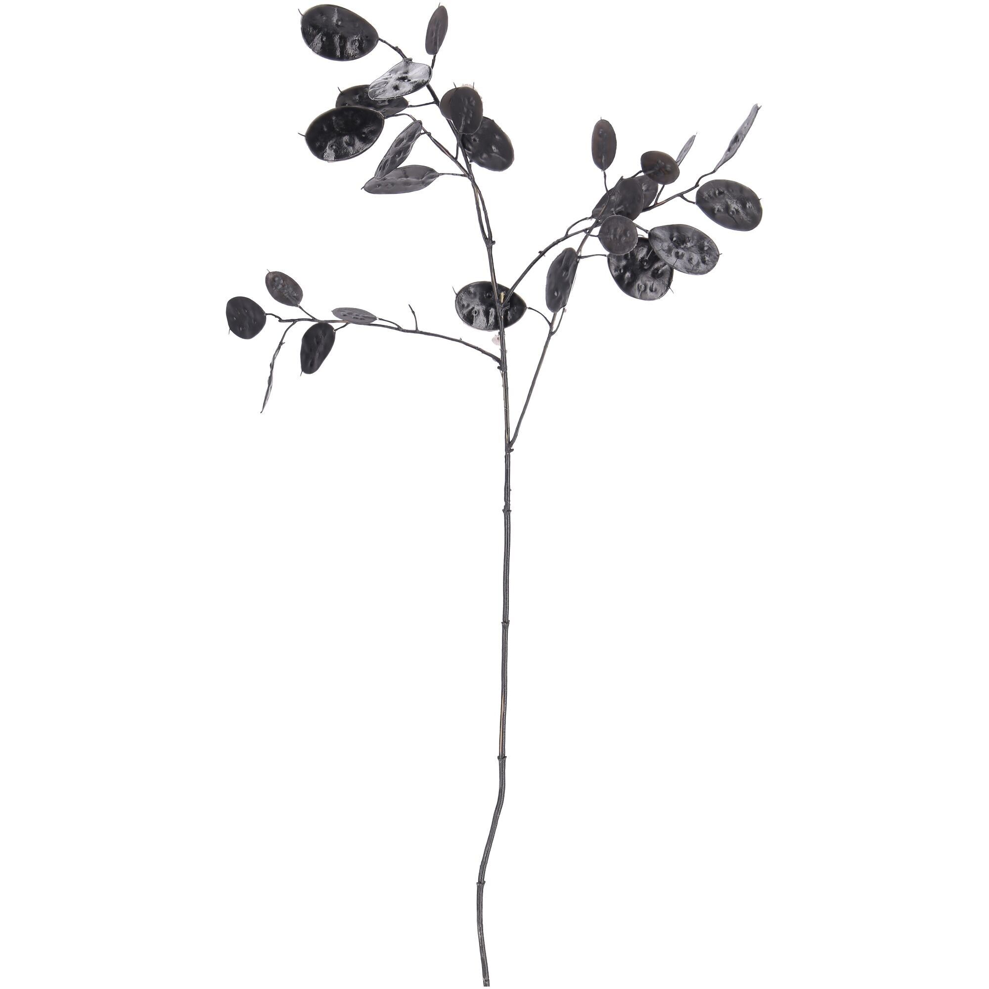 Lunaria branch Lara, 5 branches, L86cm, black