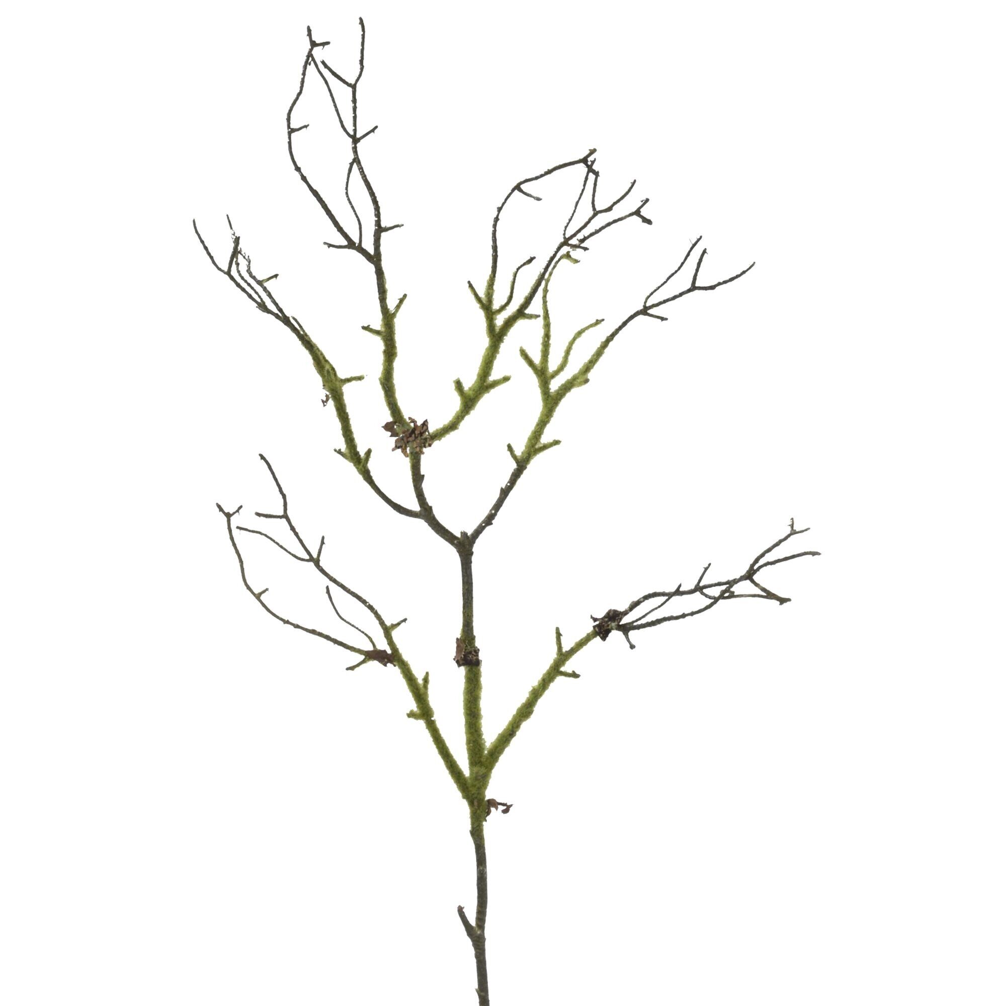 Moss branch Johann, L54cm, green