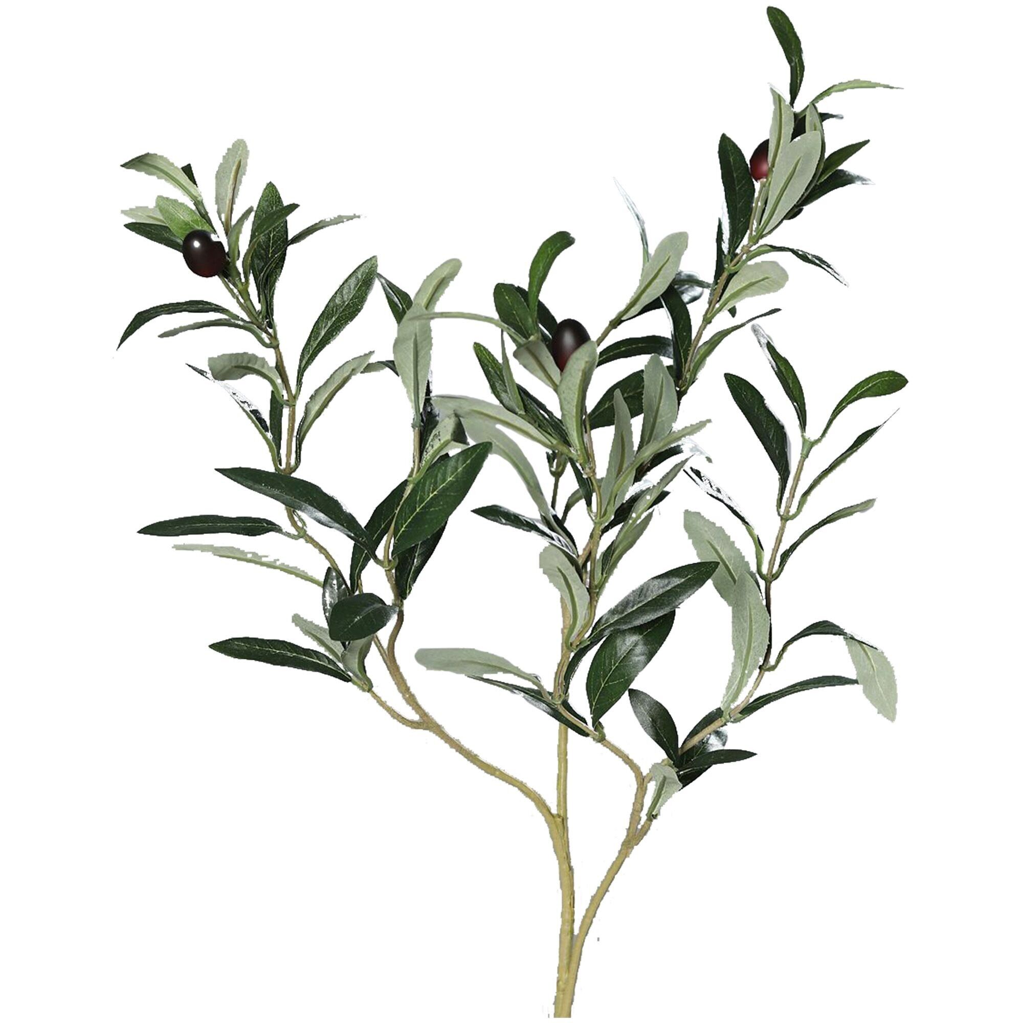 Ramo d'ulivo Olivia, 3 rami, L74 cm, verde
