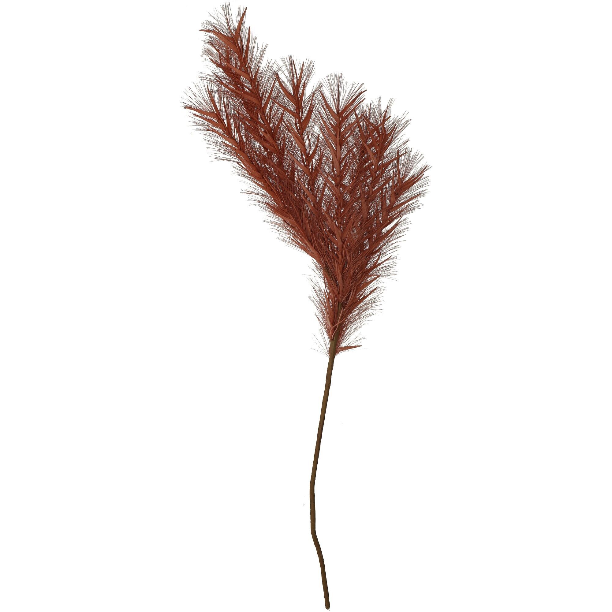 Ramo di Pampa Sophie, 6 rami, L75 cm, rosso mattone