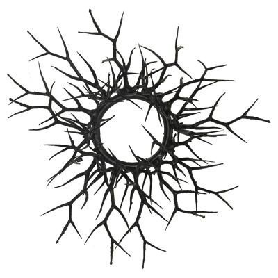 Tronos de corona de ramas, D25 cm, interior D7,5 cm, negro