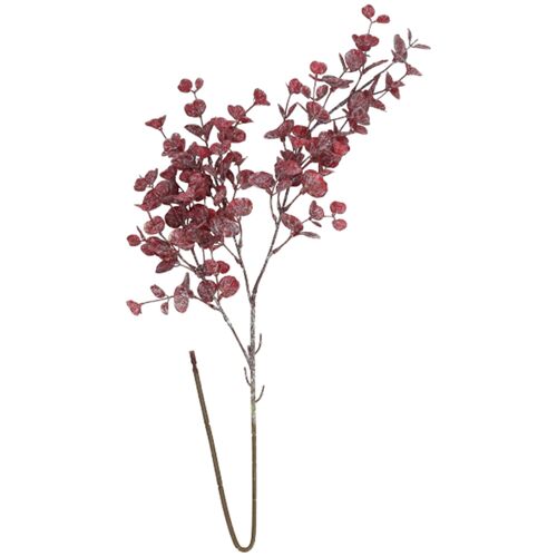 Euka Zweig Lima, L80cm, bordo