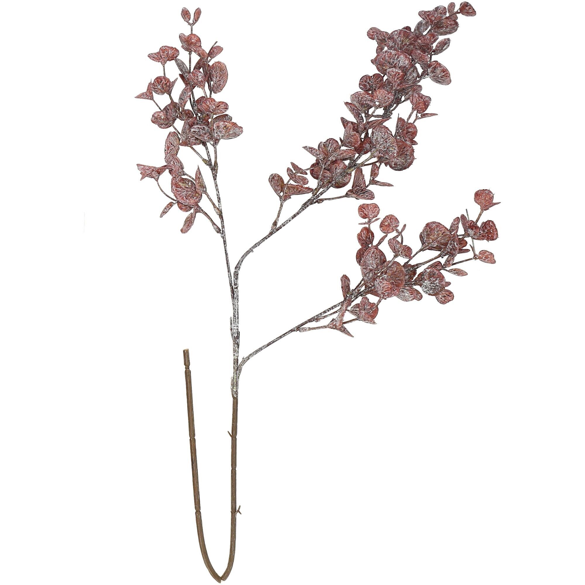 Ramo di Euka Lima, L80cm, mirtillo