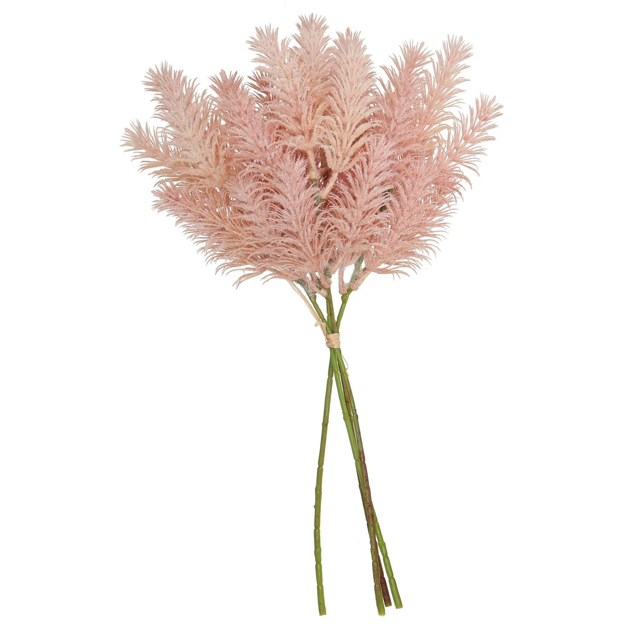 Pampas Bunch Foxy, 4 steli, H39 cm, rosa
