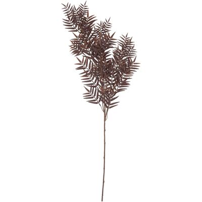 Chico rama Pampas, L81cm, bordo