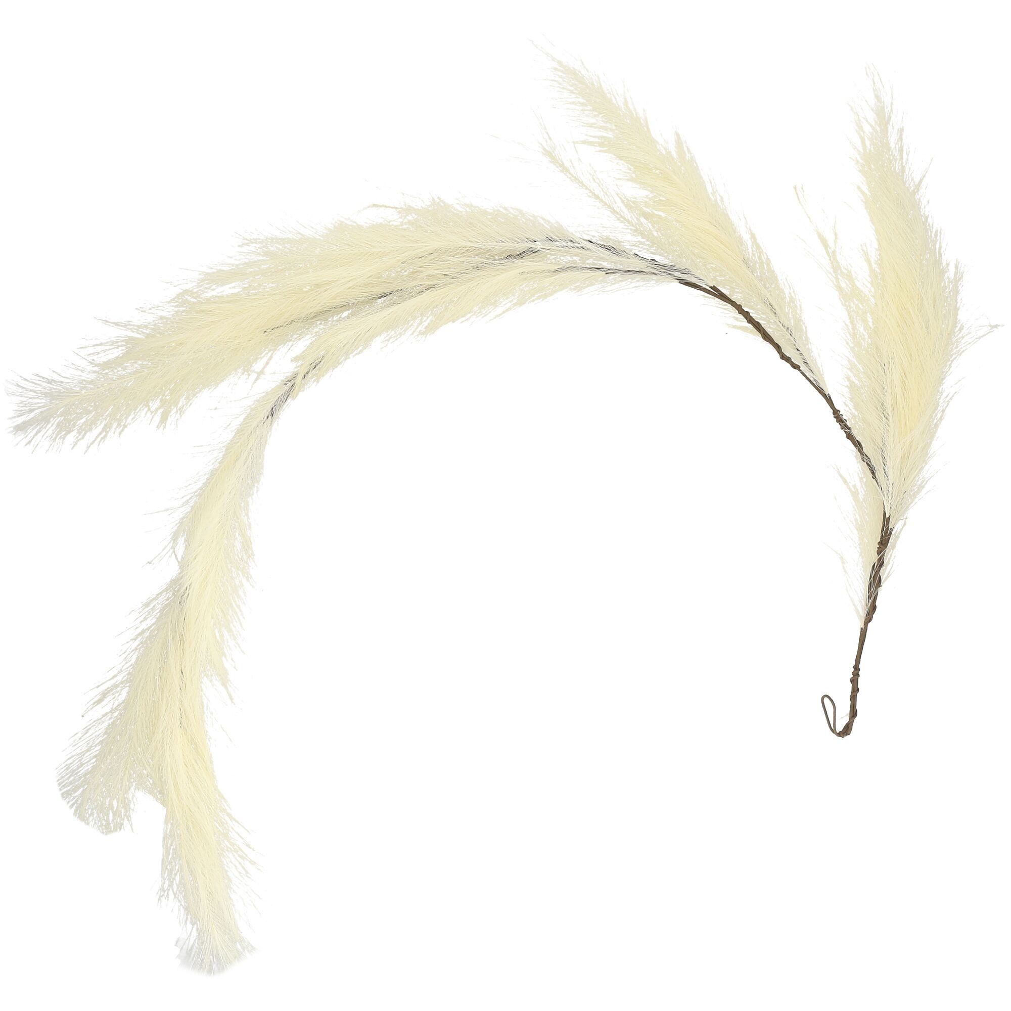 Ghirlanda di pampa Sophie, L180 cm, crema