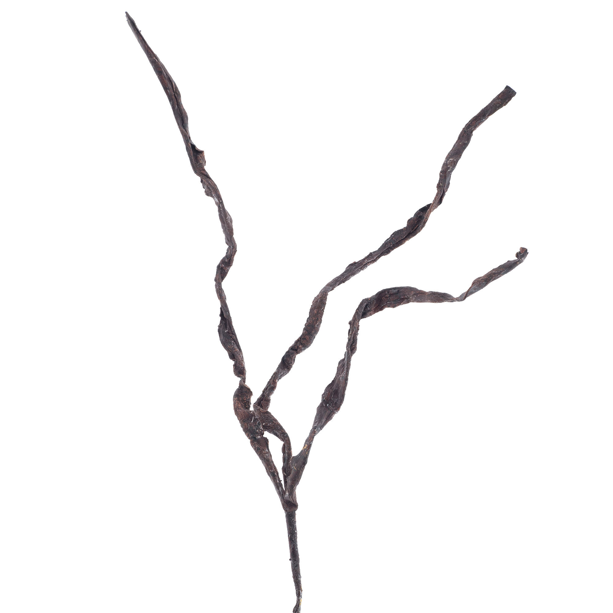 Tree bark branch Raiz, H104cm, brown