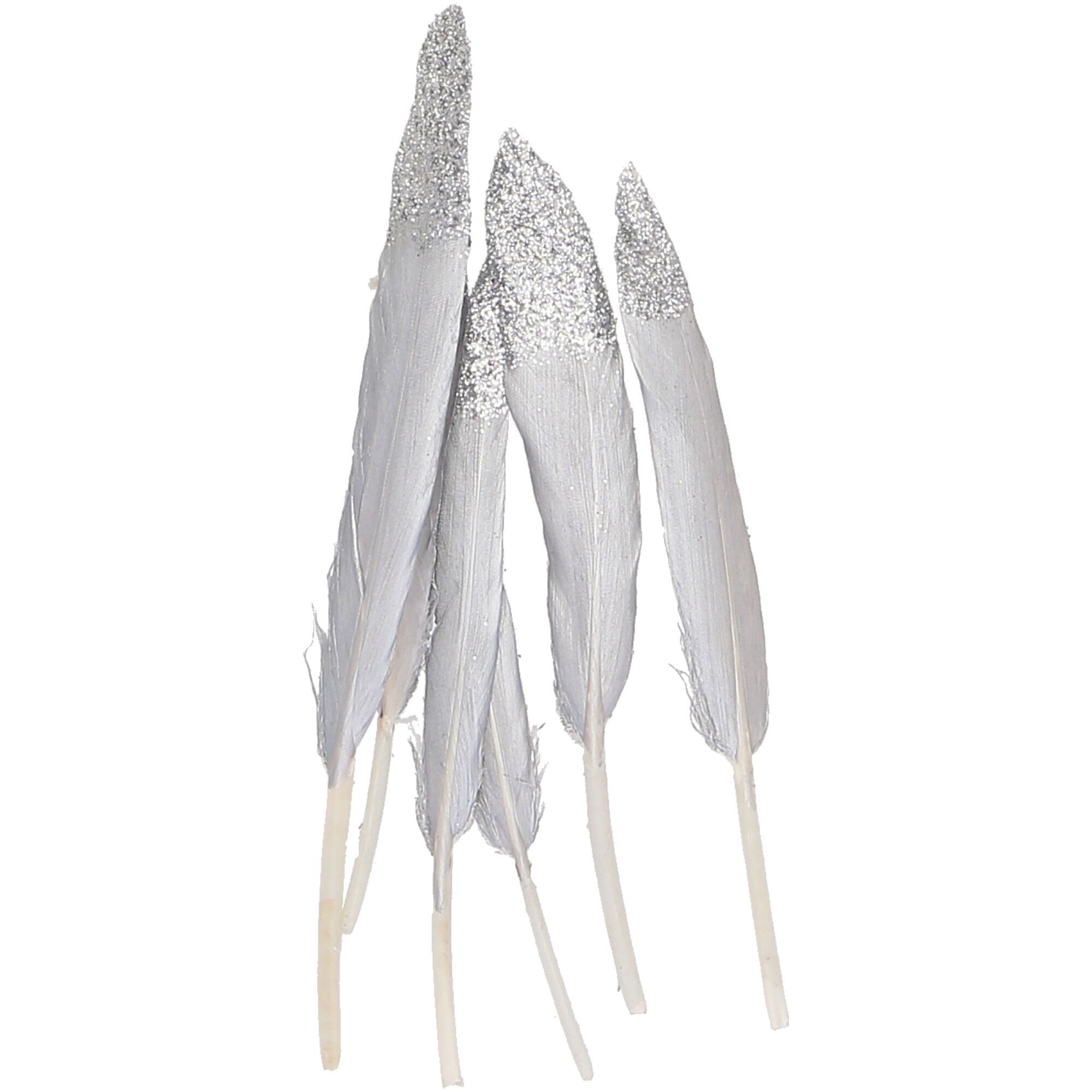 Gänsefeder x12, L9-14cm, silber