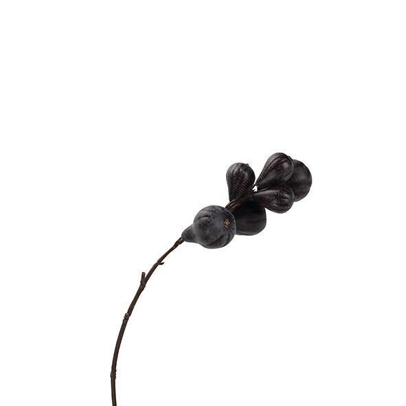 Branche de figuier, L38cm, violet prune