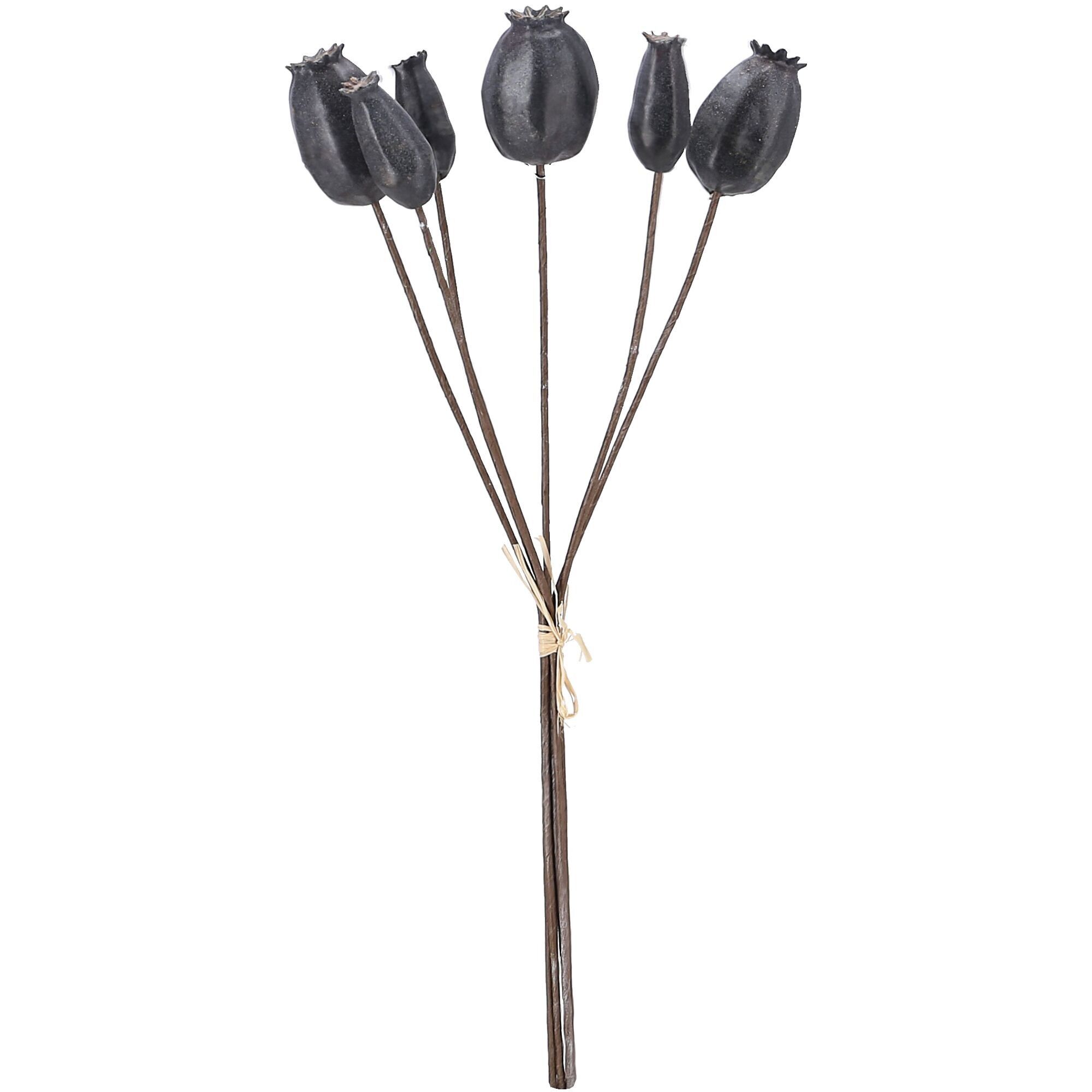 Poppy capsule Mantua, 6 capsules / bunch, L41cm, black