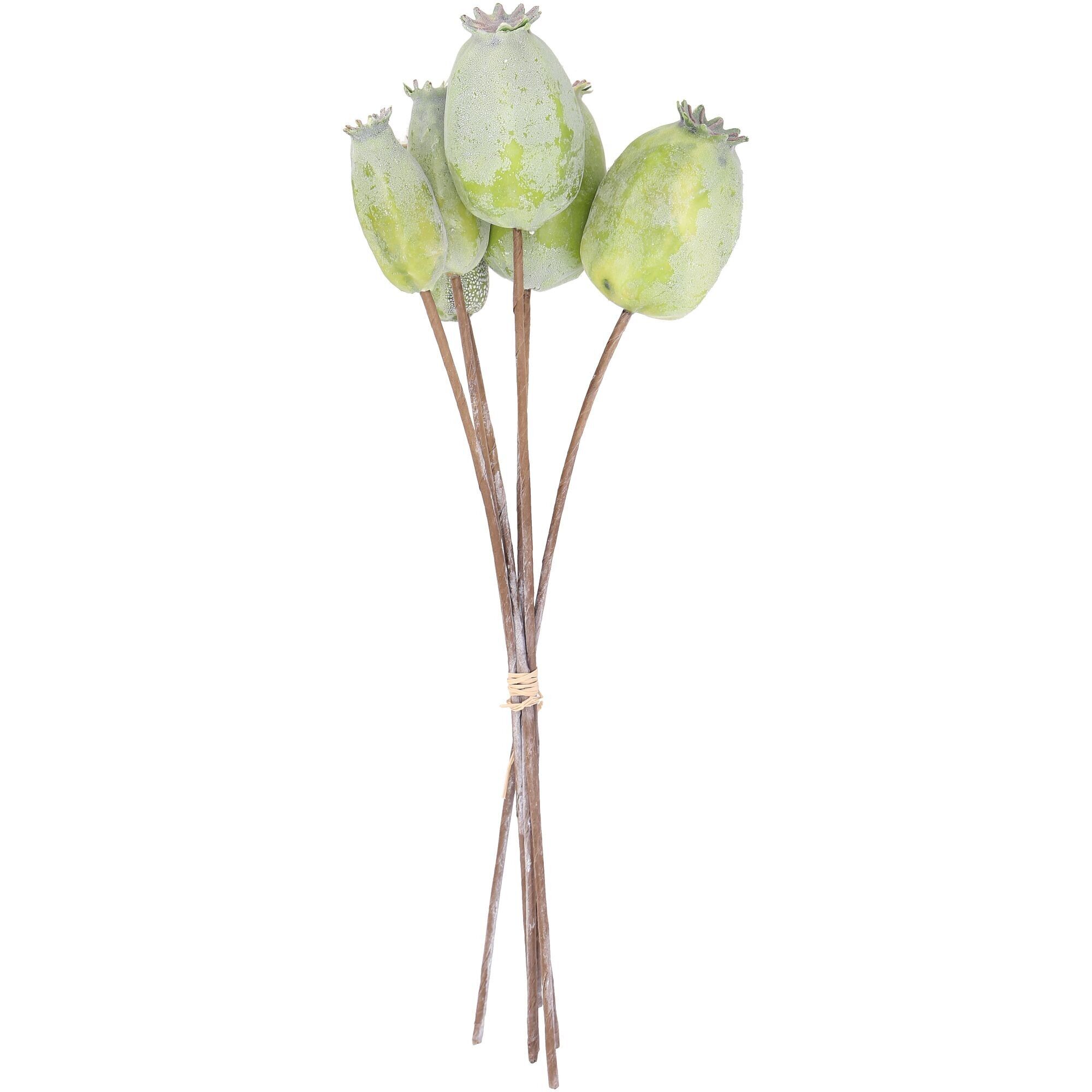 Mohn Kapsel Bund Momo, 6 Zweige, L27cm, grün