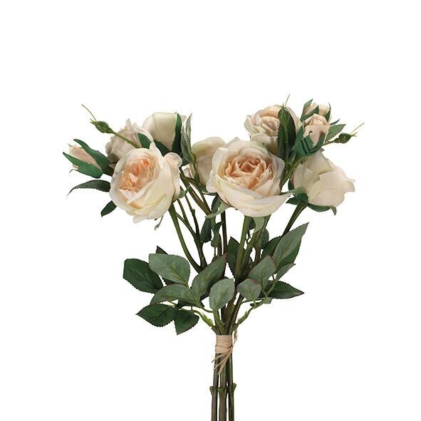 Mazzo di rose Marlies, 8 fiori, 4 boccioli, L38cm, fiore D4-6cm, albicocca