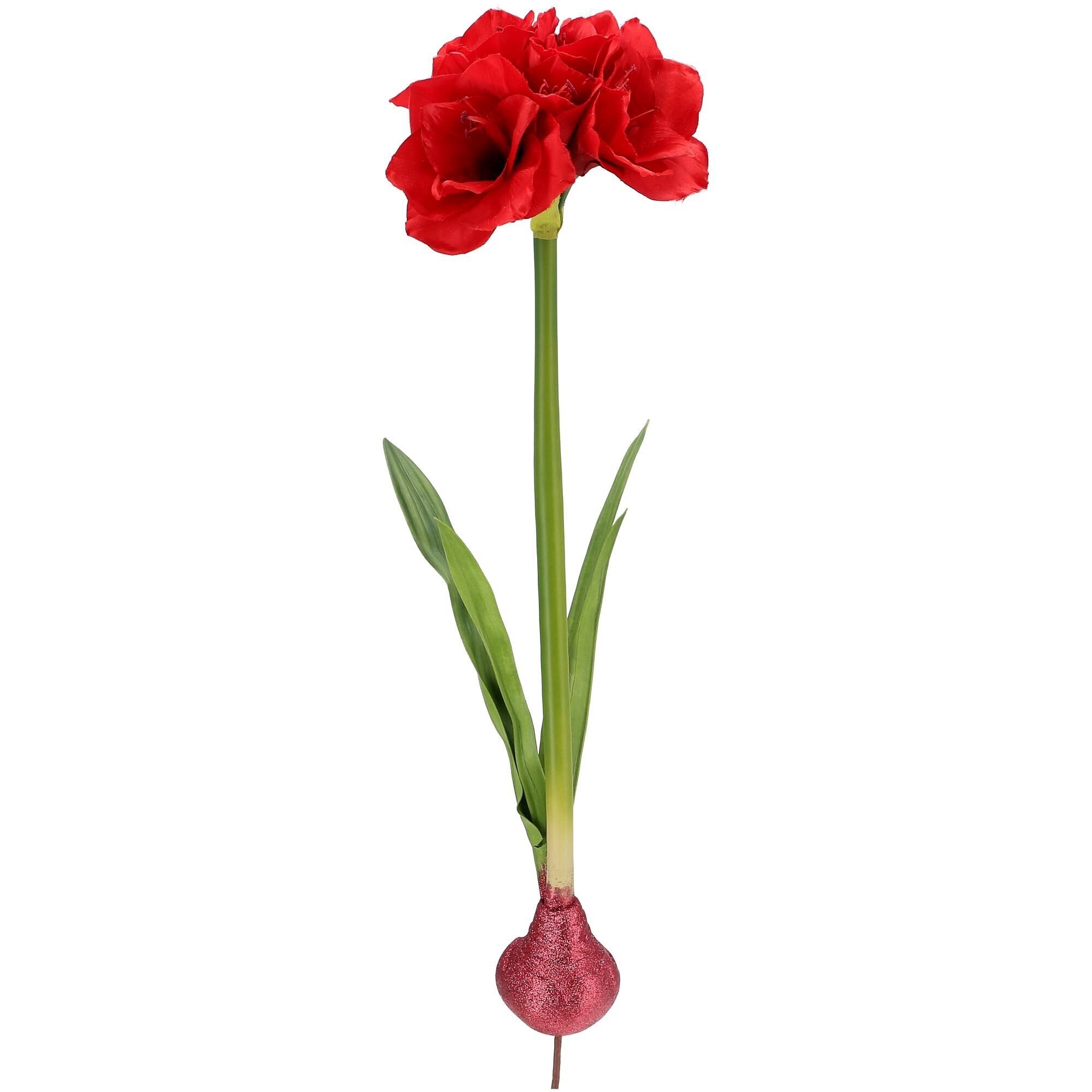 Amaryllis Ava, 5 fiori rossi, bulbo color bacca, 4 foglie, L74 cm, bacca rossa