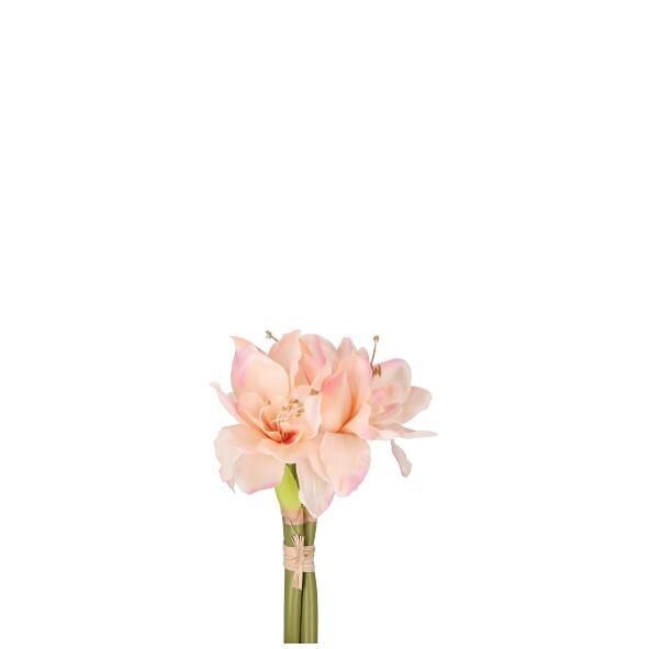 Mazzo di Amaryllis Lucille, 3 steli con 1 fiore e 1 bocciolo ciascuno, L35 cm, rosa