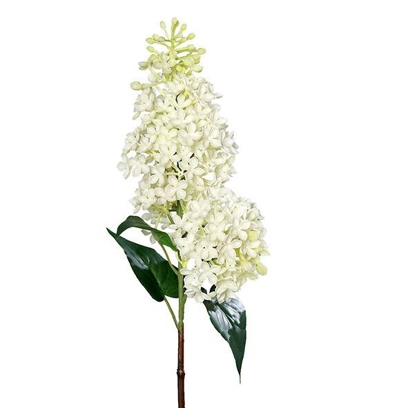 Lilla, 1 fiore, L70cm, crema