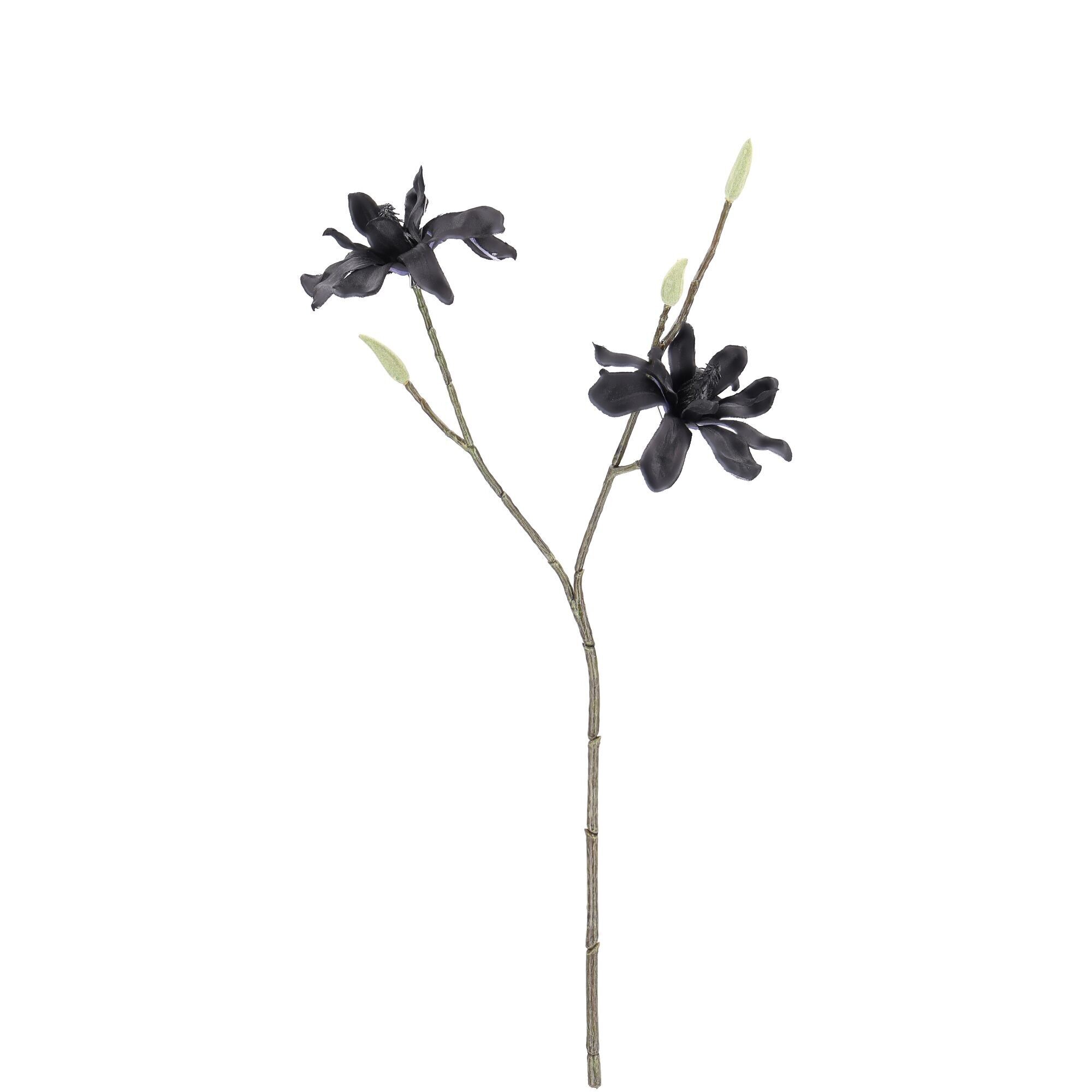 Magnolia branch Malin, 2 flowers, 3 buds, L48cm, black