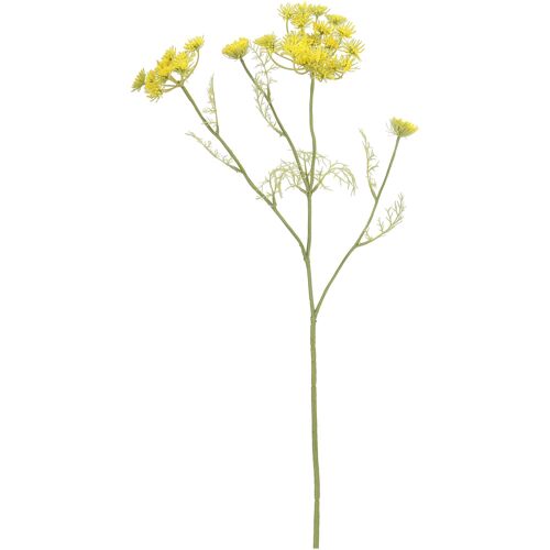 Schafgarbe Emmi, 2 kleine Dolden, 2 große Dolden, L74cm, gelb