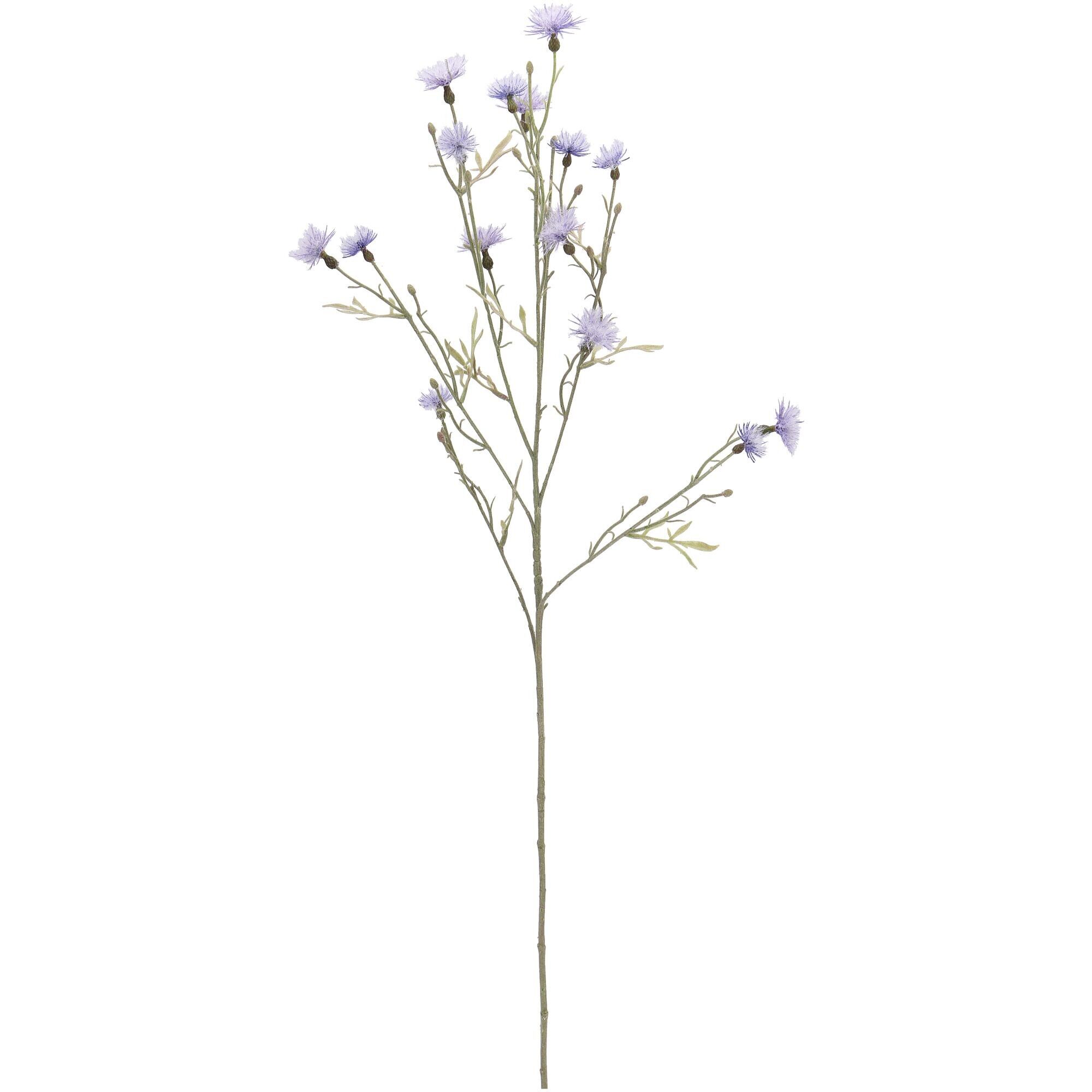 Rama de cardo de ganso Gara, 15 cabezas de cardo, L81cm, azul